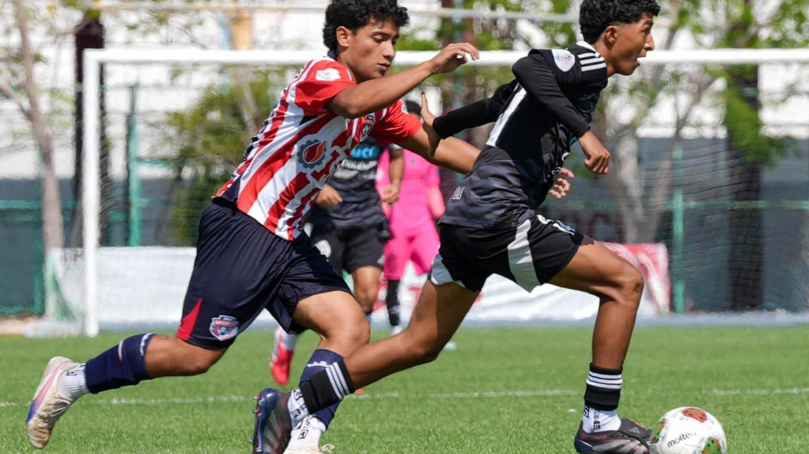 BOSTON CANCÚN FC VAPULEA (6-0) A ISG SPORT Y SE DECLARA LISTO PARA LA LIGUILLA DE FILIALES DE LA LTDP