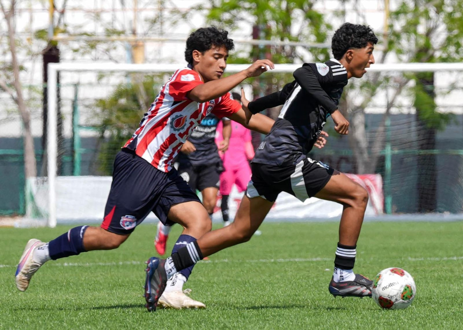 BOSTON CANCÚN FC VAPULEA (6-0) A ISG SPORT Y SE DECLARA LISTO PARA LA LIGUILLA DE FILIALES DE LA LTDP